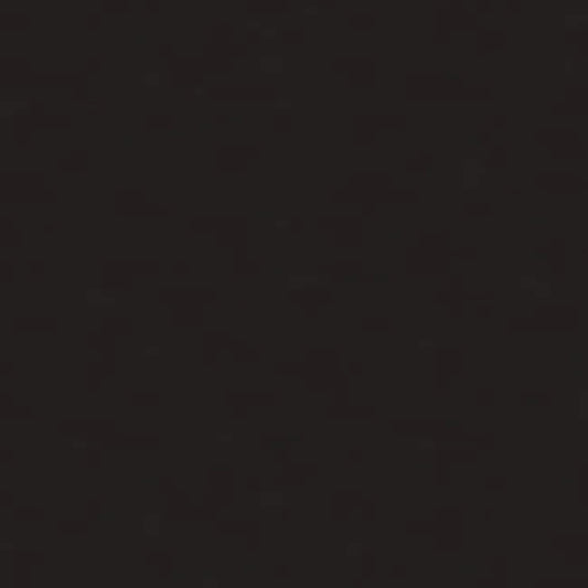 Brunschwig &amp; Fils Georges Satin Silk “KOHL” Black MSRP USD470/y