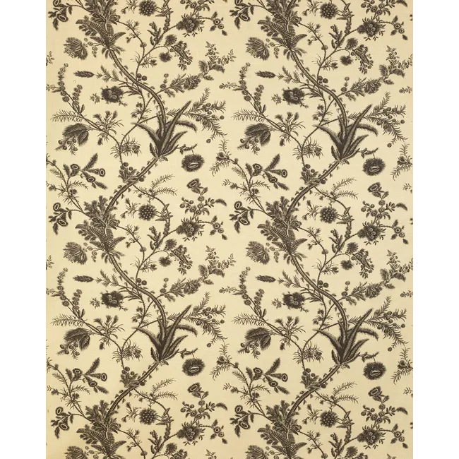 Lee Jofa Kravet Plumes Black Beige Botanical Floral Print 100% Linen - Special order - MSRP USD 556/y