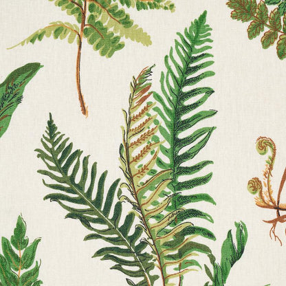 Schumacher Les Fougeres Document Green Fern print White Linen Fabric - Special order