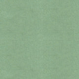 Special Order Brunschwig &amp; Fils Chevalier Wool - Robin'S Egg Green Wool Solid Texture MSRP USD246/y
