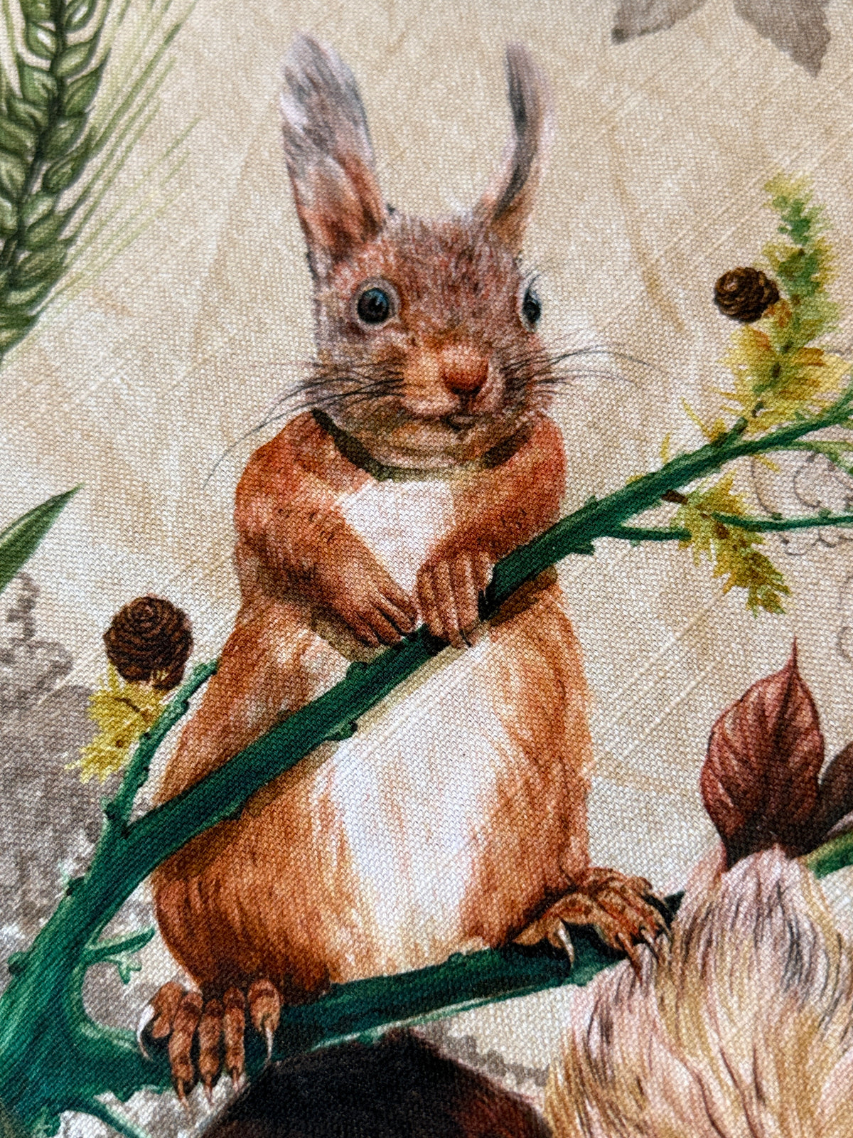 Maison d' Hermine Table Cloth Square Table Reusable 100% Cotton Nature Fall Squirrel Mushroom Acorn Pumpkin Flowers 60x120”