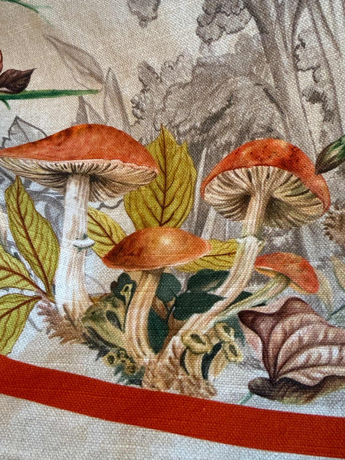 Maison d' Hermine Table Cloth Square Table Reusable 100% Cotton Nature Fall Squirrel Mushroom Acorn Pumpkin Flowers 60x120”