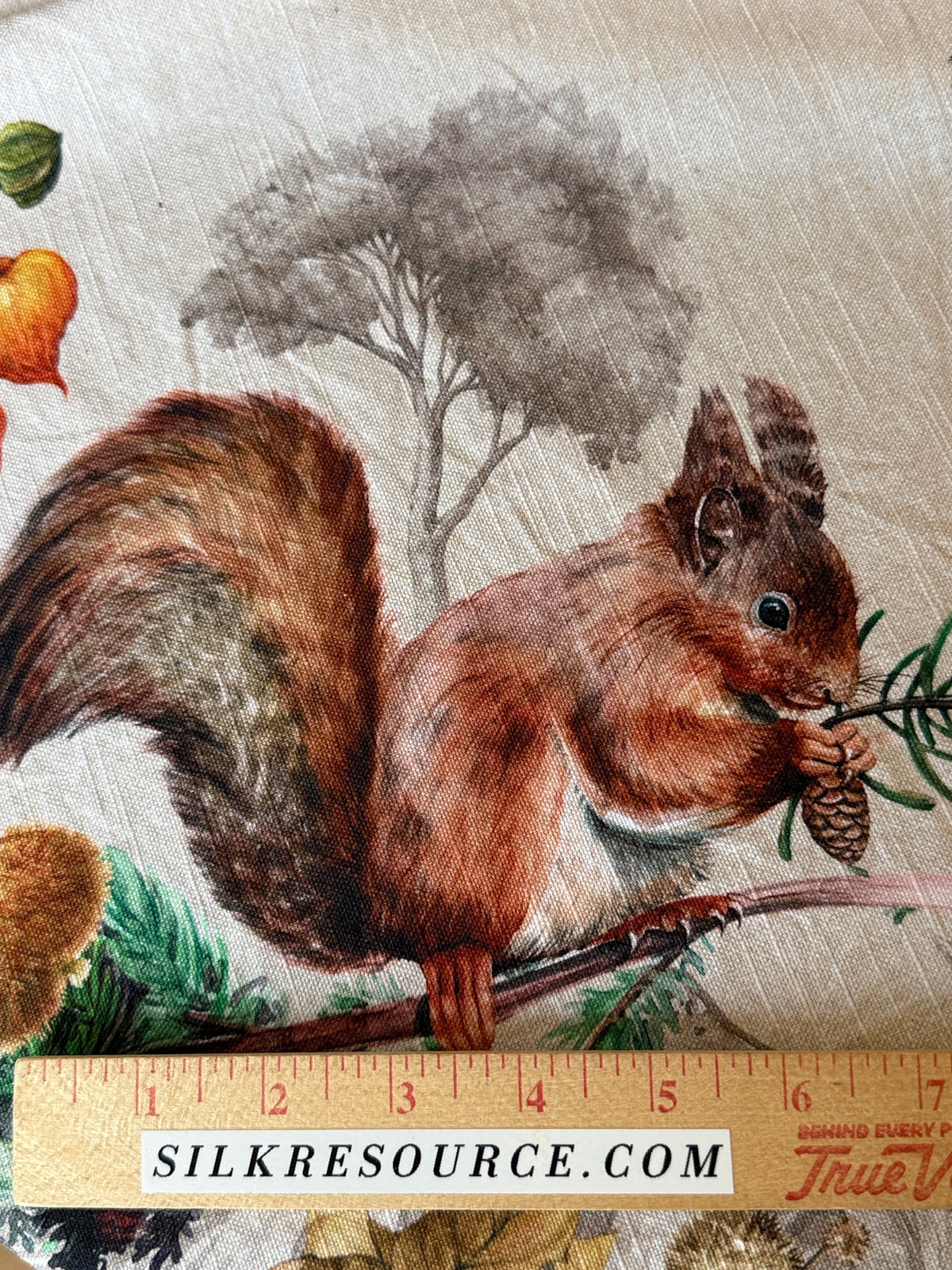 Maison d' Hermine Table Cloth Square Table Reusable 100% Cotton Nature Fall Squirrel Mushroom Acorn Pumpkin Flowers 60x120”