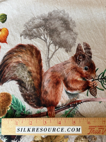 Maison d' Hermine Table Cloth Square Table Reusable 100% Cotton Nature Fall Squirrel Mushroom Acorn Pumpkin Flowers 60x120”