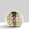 Scalamandre Antelope 12 DIA - Sahara Decorative Pillow