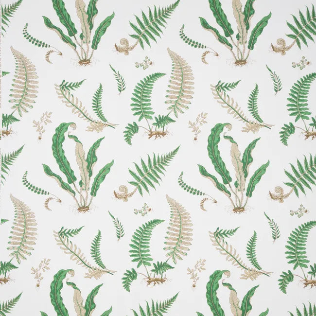 Lee Jofa Kravet Ferns Print Snow White Green Tropical Botanical Cotton - Special Order