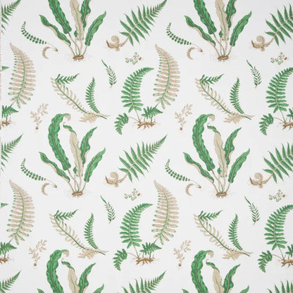 Lee Jofa Kravet Ferns Print Snow White Green Tropical Botanical Cotton - Special Order