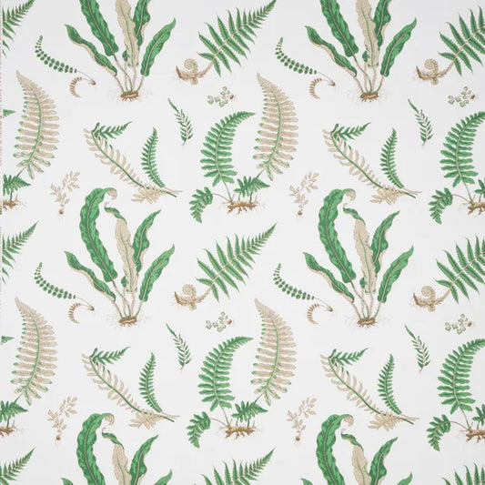 Lee Jofa Kravet Ferns Print Snow White Green Tropical Botanical Cotton - Special Order