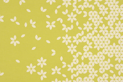 Special Order Scalamandre Sonnen Pause Green Apple White Reversible Ivory Floral Geometric MSRP USD284/y