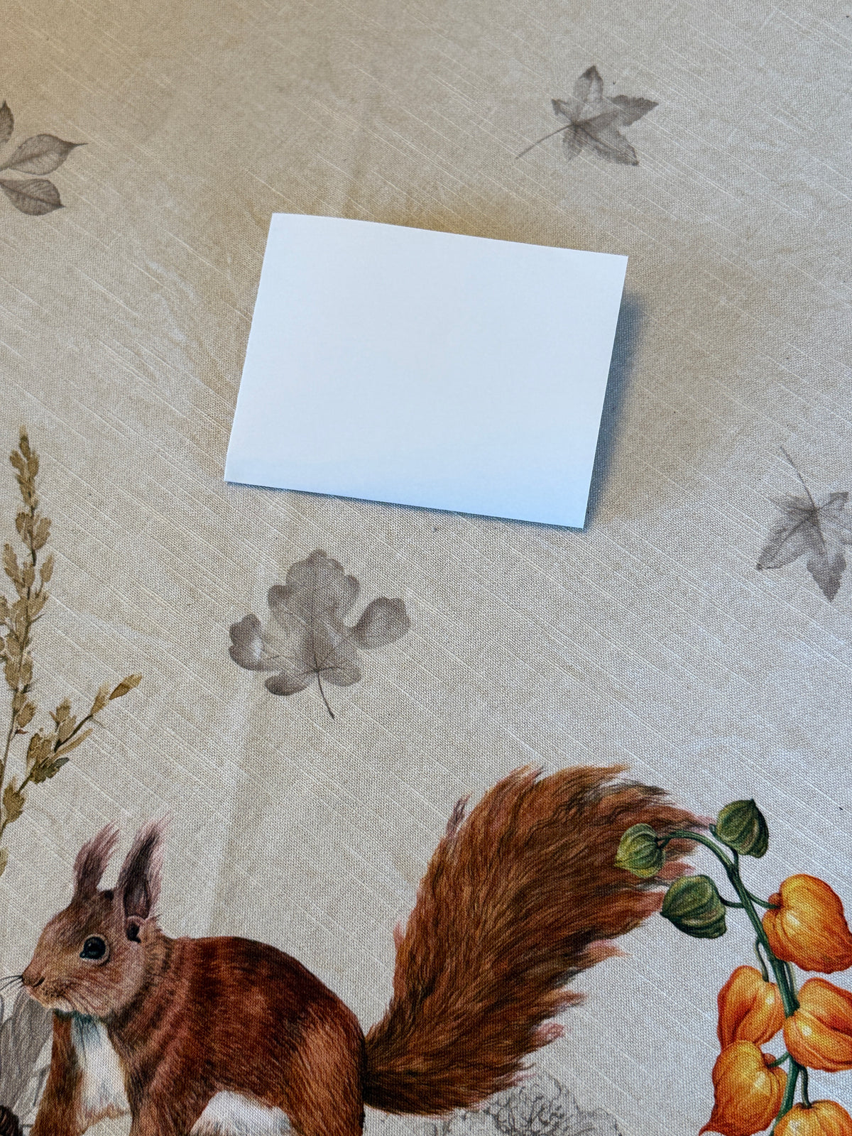 Maison d' Hermine Table Cloth Square Table Reusable 100% Cotton Nature Fall Squirrel Mushroom Acorn Pumpkin Flowers 60x120”
