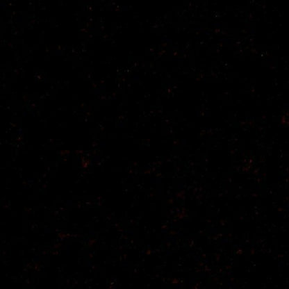 Special Order Donghia Mohair - Burgundy Dark Red Velvet Cotton MSRP USD388/y