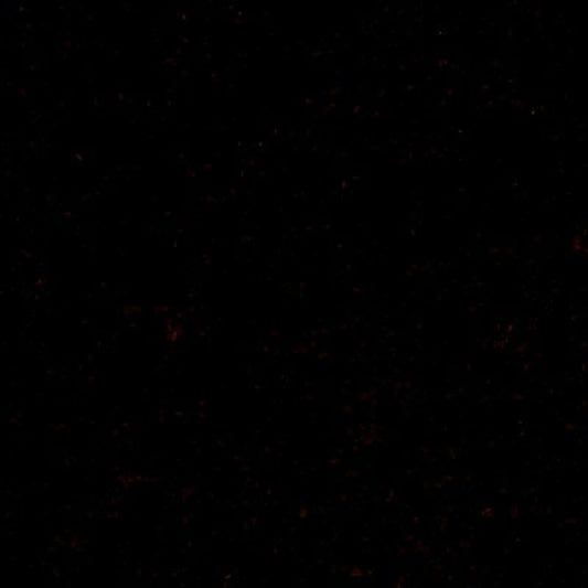 Special Order Donghia Mohair - Burgundy Dark Red Velvet Cotton MSRP USD388/y