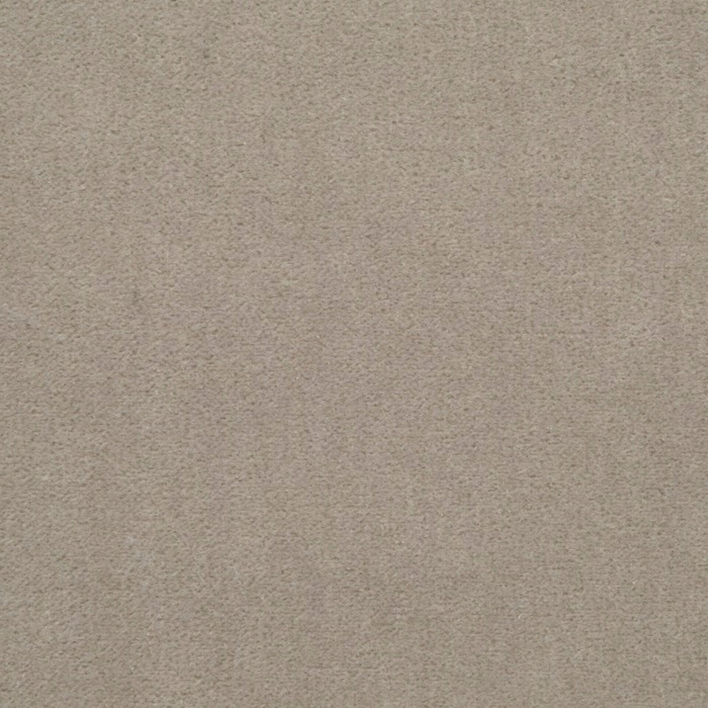 Special Order Donghia Mohair - Taupe Light Brown Velvet Cotton MSRP USD388/y