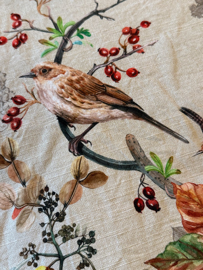 Maison d' Hermine Table Cloth Square Table Reusable 100% Cotton Nature Fall Squirrel Mushroom Acorn Pumpkin Flowers 60x120”