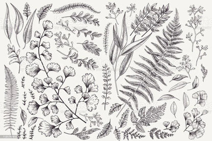 0.8y Scalamandre Fossils- Embroidery Gw-rust On Beige MSRP USD 372Y