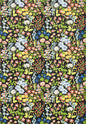 Grey Watkins Nymph Floral Black Multi Wallcovering