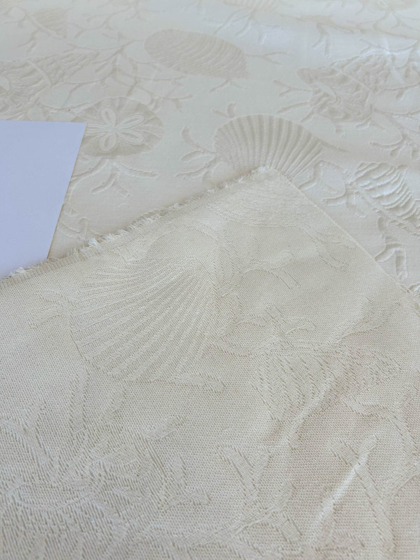 Clarence House Conchiglia Matalesse Pure White Ivory 100% Cotton Nautical Seashell Coral Reef Ocean Life