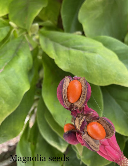Stunning Schumacher 100% Silk Dupioni Plaid Square Raspberry Pink Red Orange Butter Yellow Gold