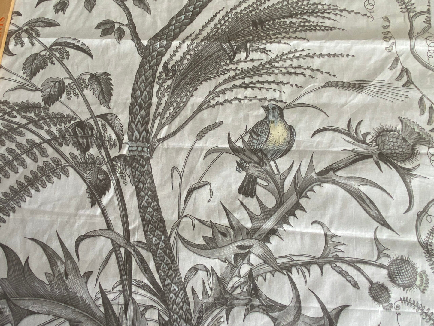 Brunschwig &amp; Fils Bird &amp; Thistle Print Grey on Pale cream