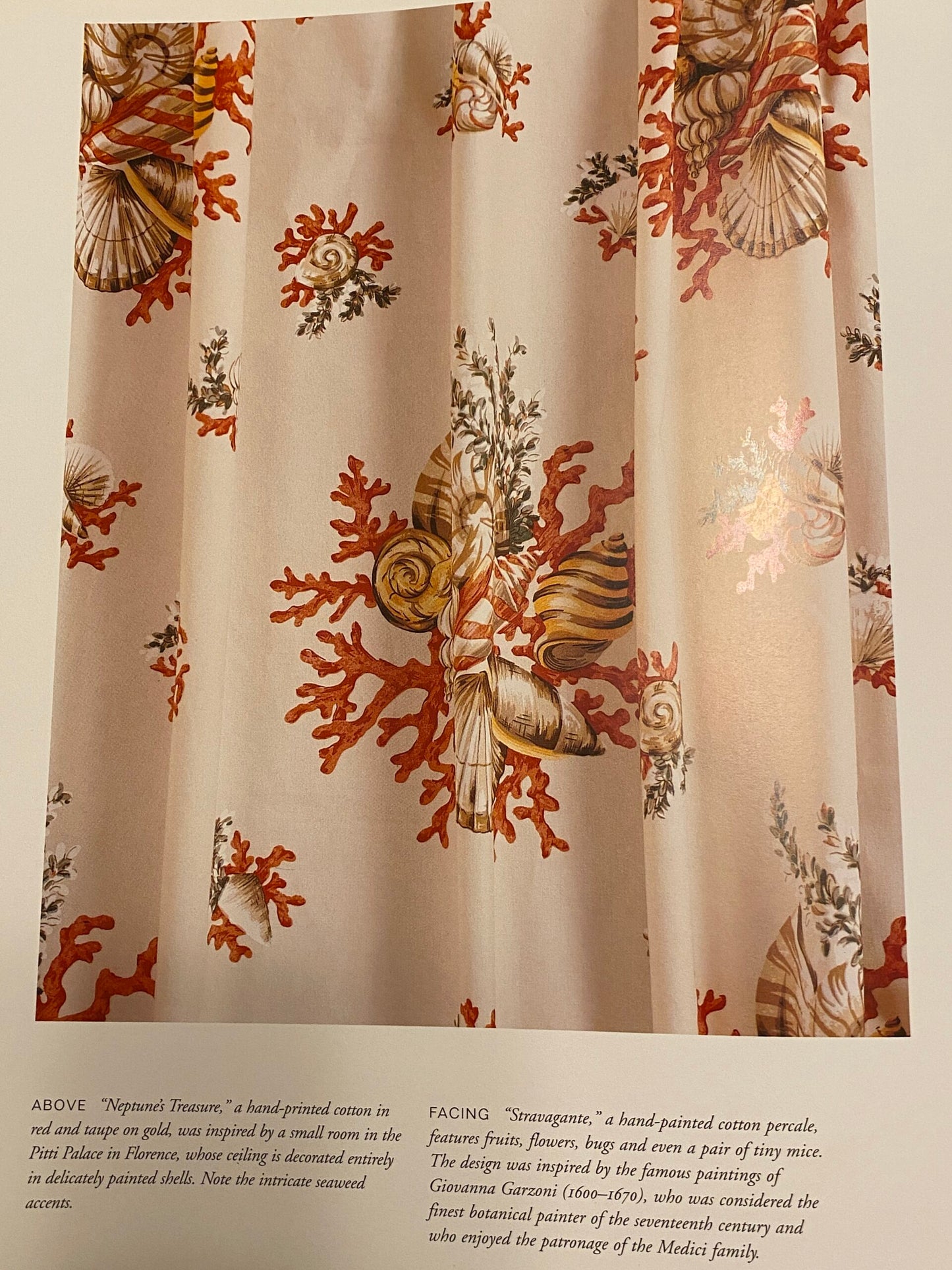 Scalamandre Neptune's Treasure Seashell Nautical Conch Scallop Nautilus Taupe Beige MSRP USD 259/y