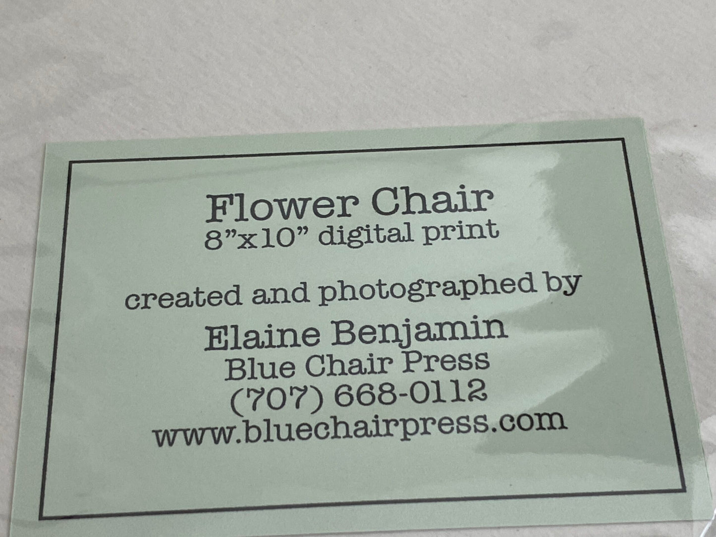 Flower and Vegetable Chair Kale Art Installation and Photograph Print Kale 8x10 inches