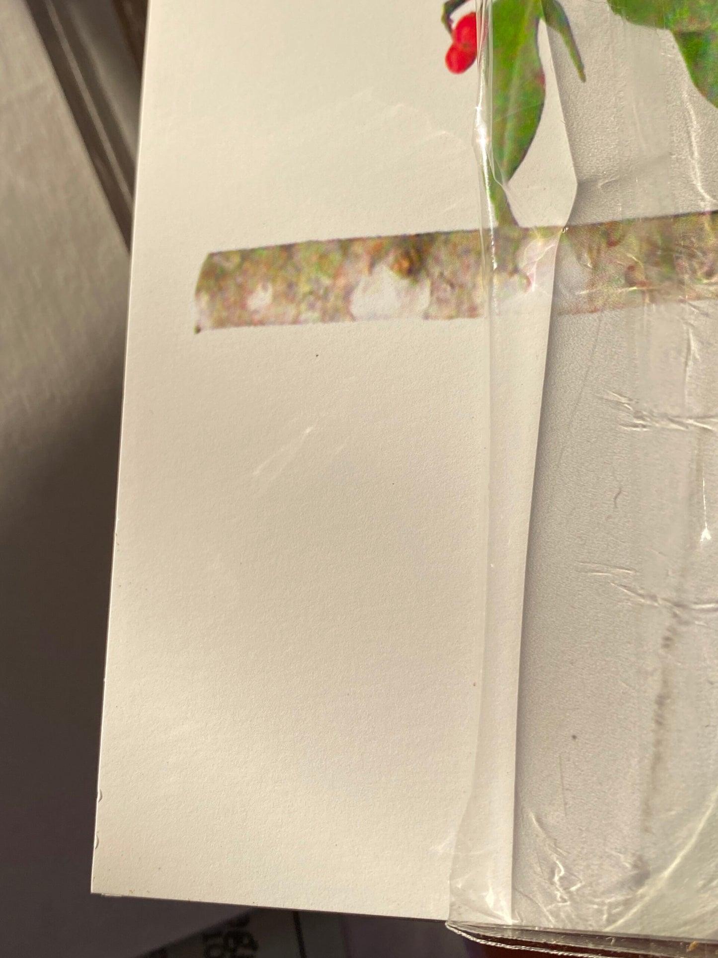 Flower and Vegetable Chair Asparagus Art Installation and Photograph Print Asparagus 8x10 inches