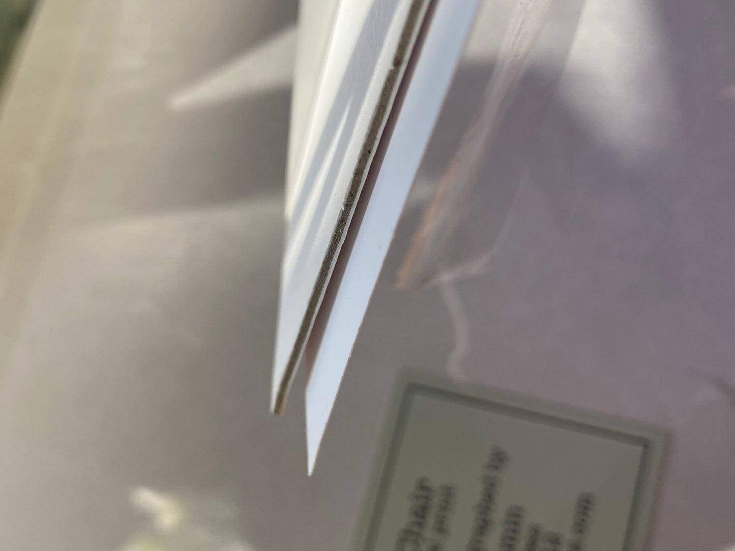 Flower Chair Green Onion Art Installation &amp; Photograph Print Green Onion 8x10"