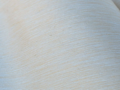 Scalamandre Hinson  Diffusion Taffeta Cream Iridescent Silk Taffeta Texture MSRP USD294/y