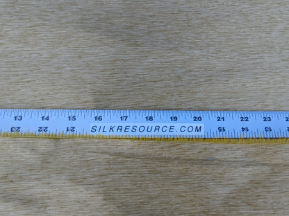 Scalamandre Diffusion Taffeta Gold Silk Solid Texture MSRP USD294/y