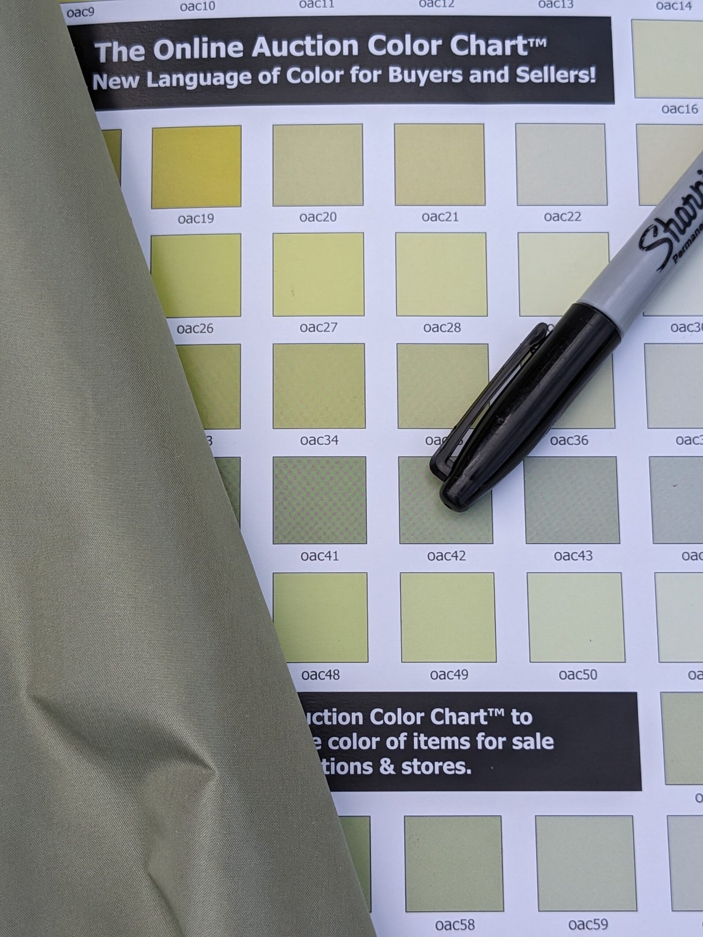 Scalamandre  Althorp Taffeta Green Sage muted Green Silk Taffeta Gorgeous Texture MSRP USD 300/yd