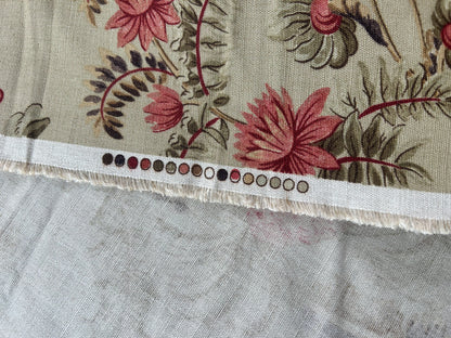 Vervain Pajaro Exotico Print Fabric In Document Beige Light Brown Red Pink Linen Cotton 2.8 Yards MSRP$156/Y