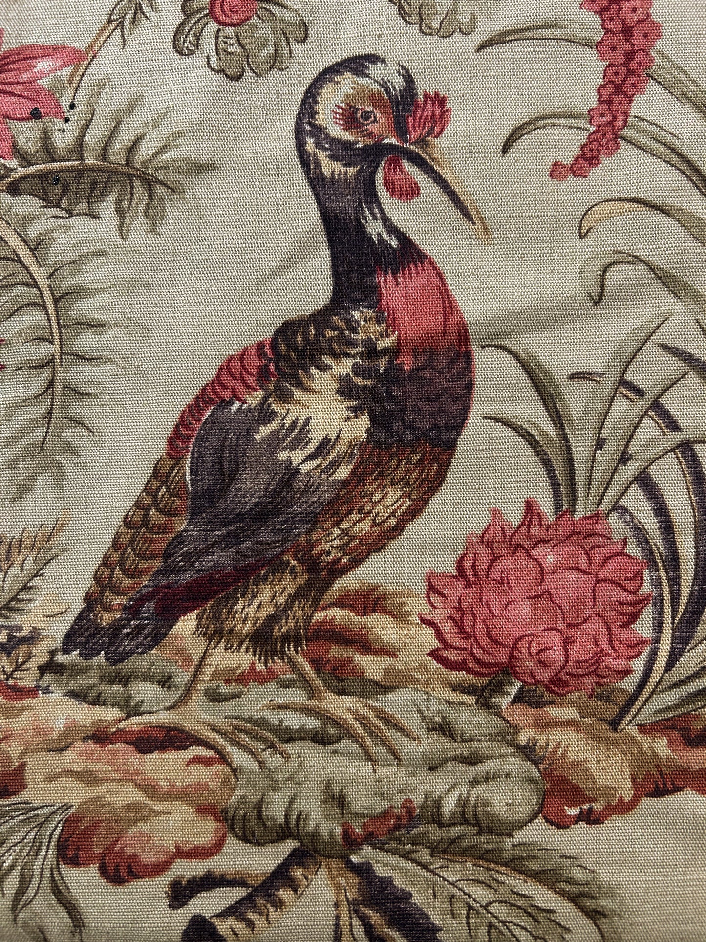 Vervain Pajaro Exotico Print Fabric In Document Beige Light Brown Red Pink Linen Cotton 2.8 Yards MSRP$156/Y