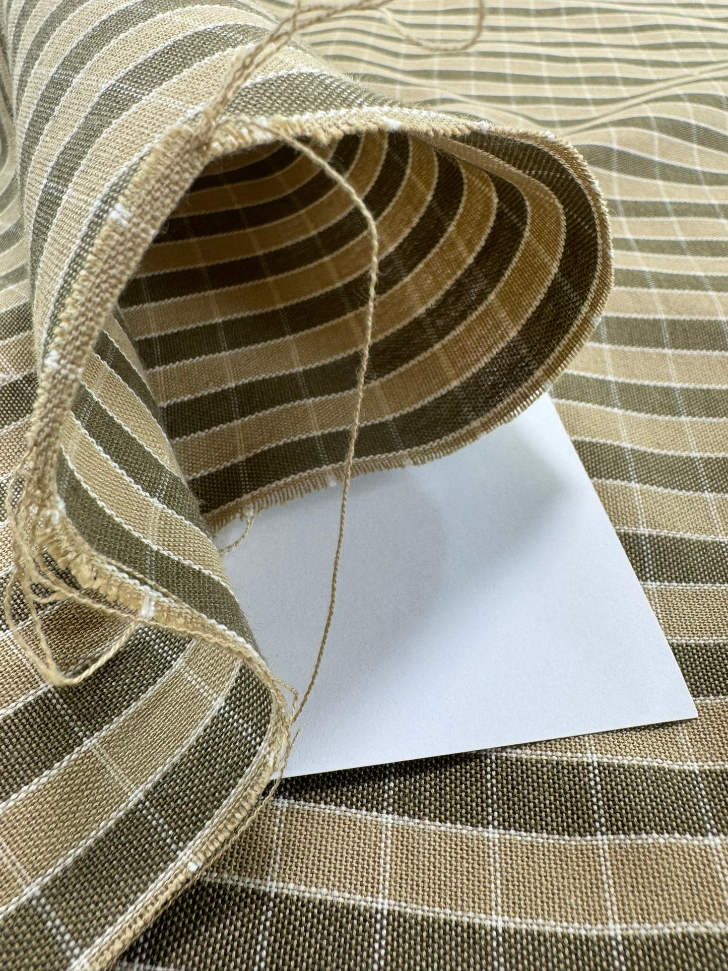 Scalamandre Oxford Check Tan and White Cotton Plaid from France - Brown Beige - By The Yard