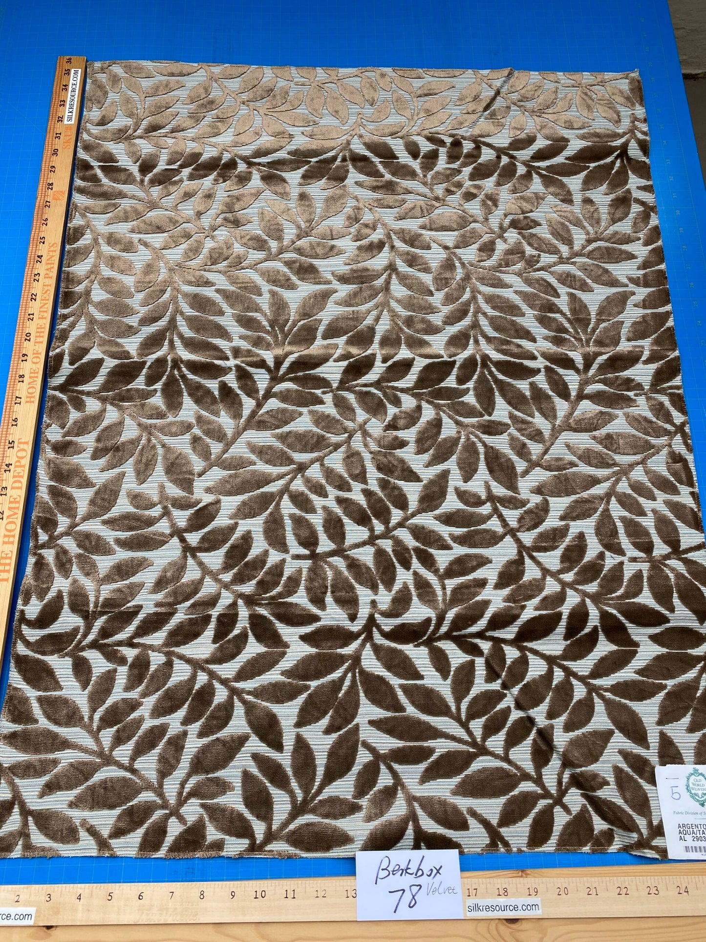 5 Berkbox78 Square Velvet by Scalamandre Argento Aqua/Taupe Cut-Velvet Leaves Brown 1yd x 25"  MSRP USD 380/y