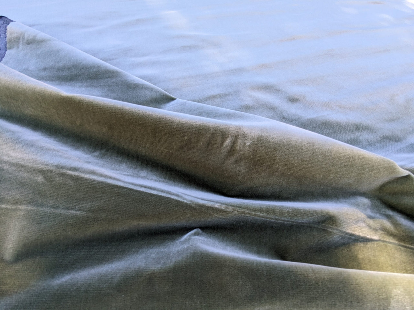 Scalamandre Folio Thyme Green Superb Silk Velvet With Cuddly Silk Pile Yet Durable brown MSRP USD 566/y