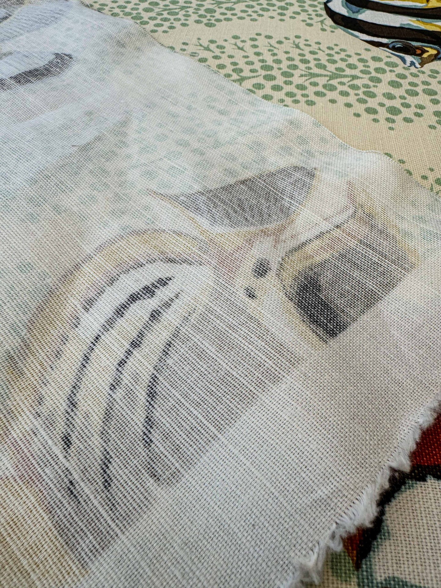 1.4 y Scalamandre Barbuda Coral/Apricot/Green Gold Dots Fish Nautical Ocean