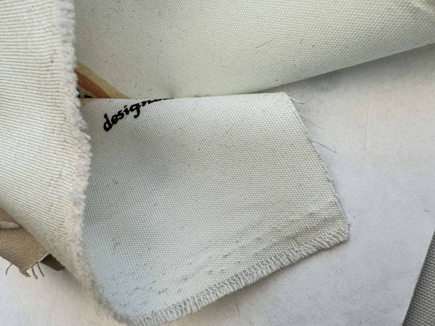 3.8y Scalamandre Les Coquillages Bird Animal Stripe Nautical Ocean Seashell