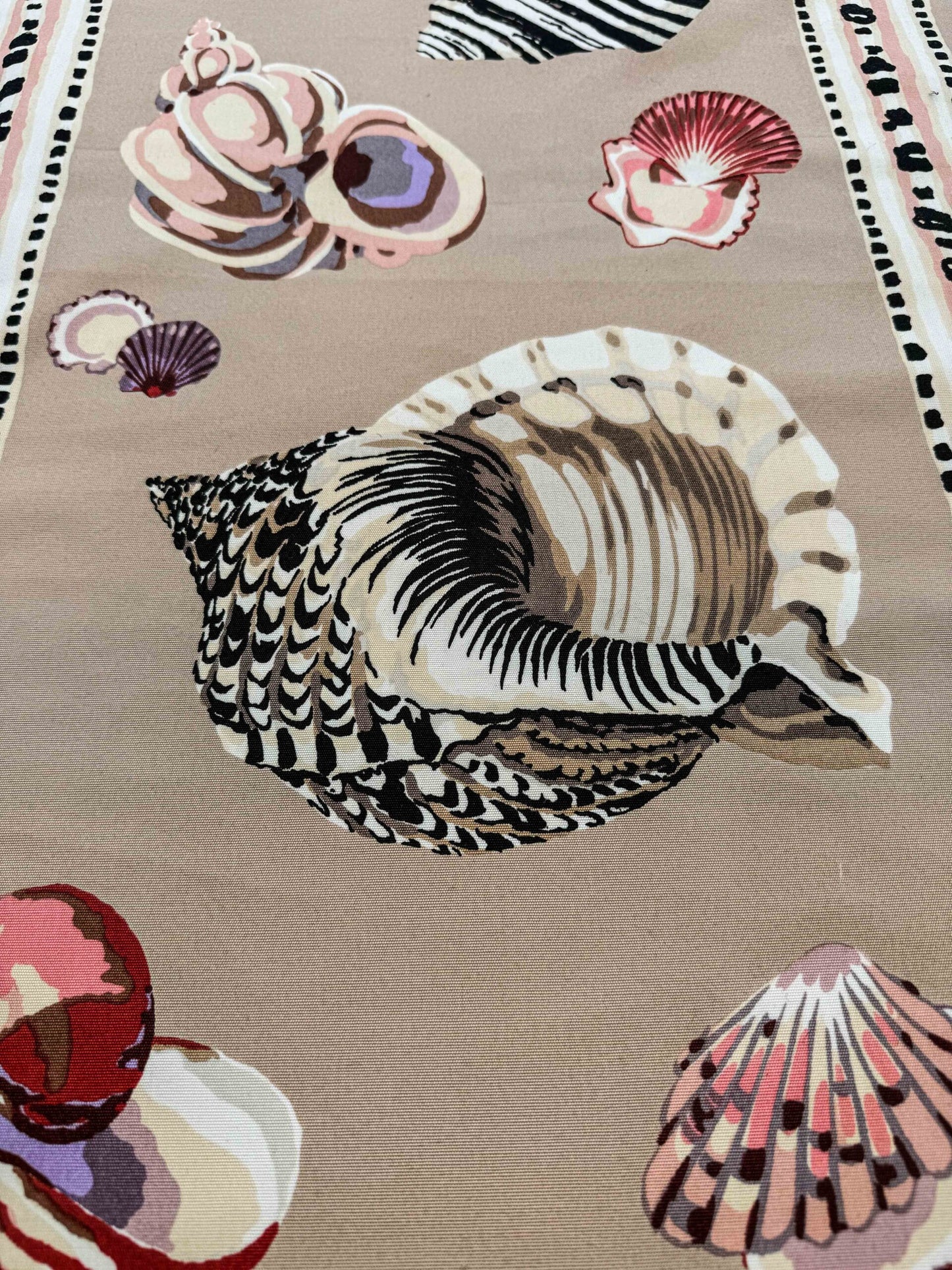3.8y Scalamandre Les Coquillages Bird Animal Stripe Nautical Ocean Seashell