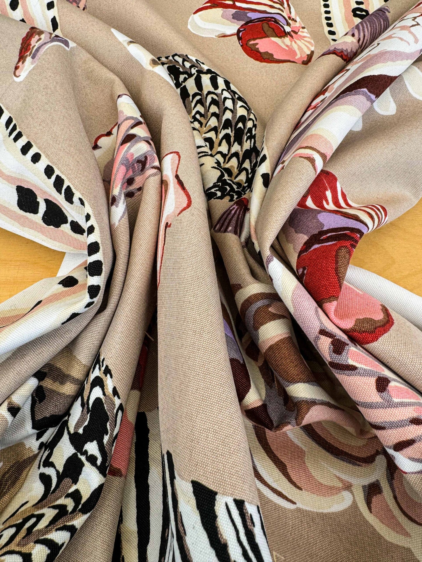 3.8y Scalamandre Les Coquillages Bird Animal Stripe Nautical Ocean Seashell