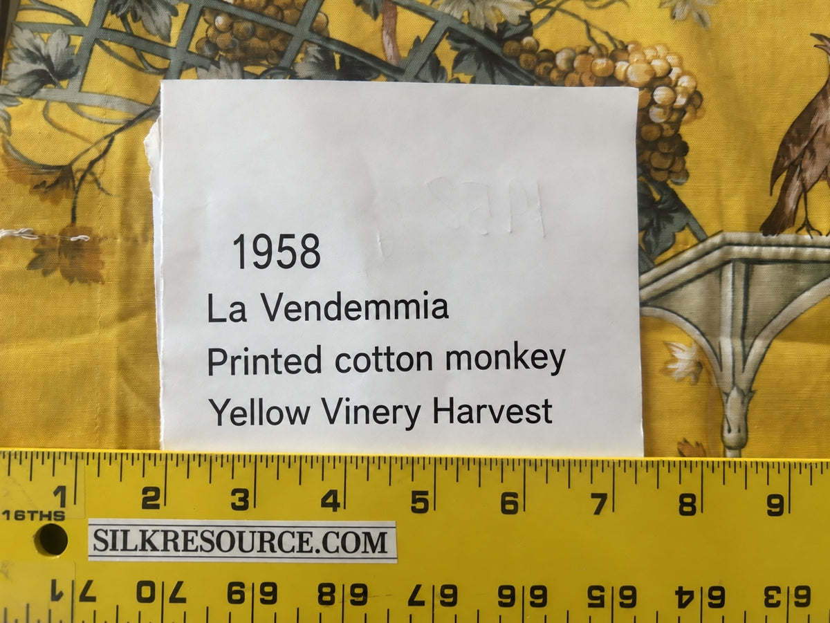 2.2Y Scalamandre Fonthill La Vendemmia in Yellow Gold Print Cotton Monkey Grape Vineyard Harvest