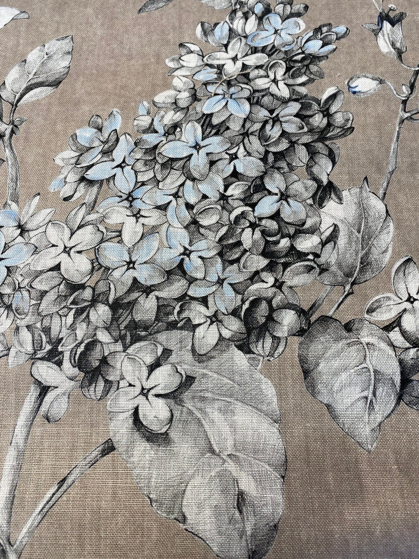 Scalamandre Merrimon in Linen Print Silky Linen Fragrant Summer lilac trumpet flower or  jimsonweed  MSRP $346/y