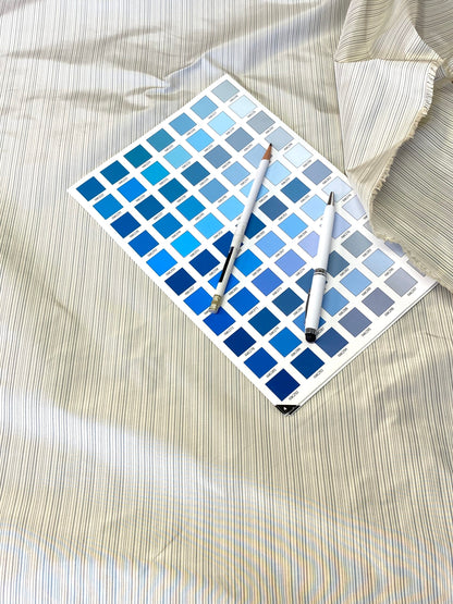 Scalamandre Astley Silk Strie Cream Blue White Pin Stripe Small Scale  MSRP USD350+/yard