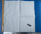 42 Berkbox21 Scalamandre Outdoors Turquoise, Light Blue And White