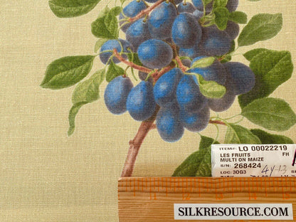 By Vertical Repeat 40 Inches Scalamandre Les Fruits Multi on Maize Grape Strawberry Cherry Plum Pear Blue MSRP USD 220/Y