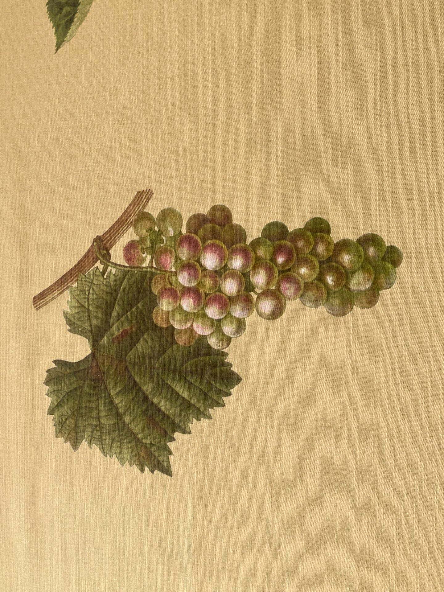 By Vertical Repeat 40 Inches Scalamandre Les Fruits Multi on Maize Grape Strawberry Cherry Plum Pear Blue MSRP USD 220/Y