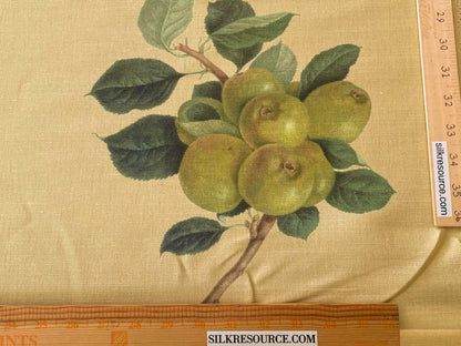 By Vertical Repeat 40 Inches Scalamandre Les Fruits Multi on Maize Grape Strawberry Cherry Plum Pear Blue MSRP USD 220/Y