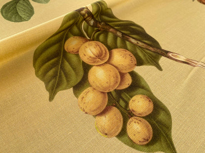 By Vertical Repeat 40 Inches Scalamandre Les Fruits Multi on Maize Grape Strawberry Cherry Plum Pear Blue MSRP USD 220/Y