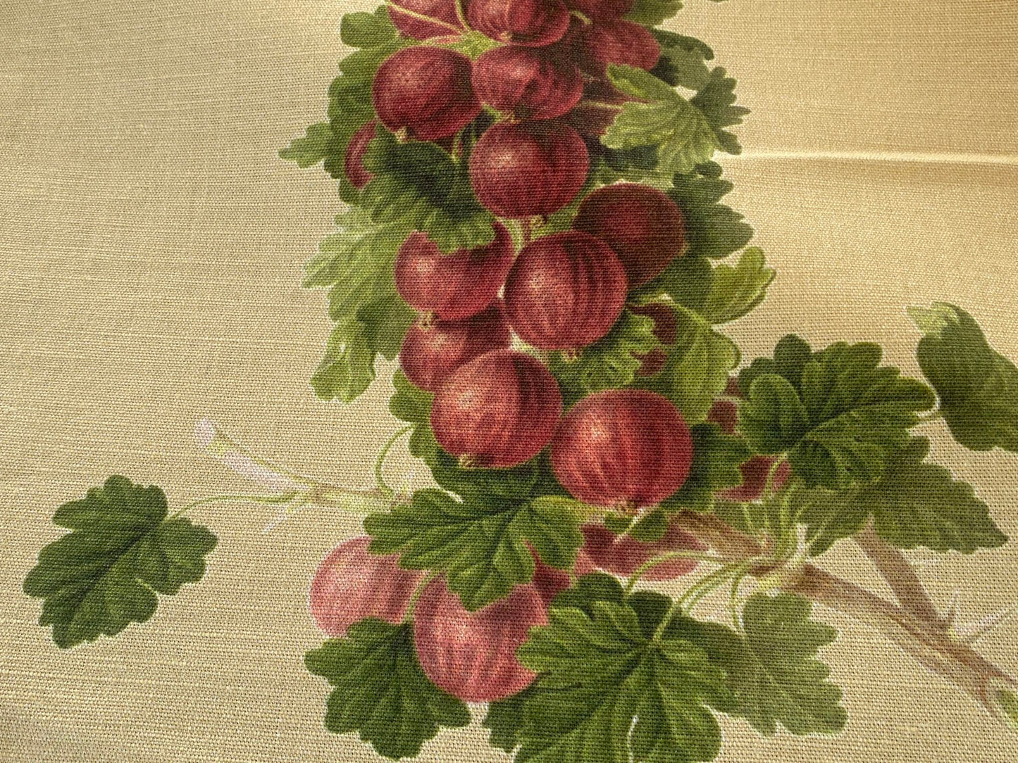 By Vertical Repeat 40 Inches Scalamandre Les Fruits Multi on Maize Grape Strawberry Cherry Plum Pear Blue MSRP USD 220/Y