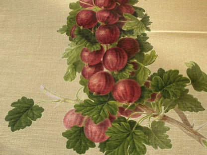 By Vertical Repeat 40 Inches Scalamandre Les Fruits Multi on Maize Grape Strawberry Cherry Plum Pear Blue MSRP USD 220/Y