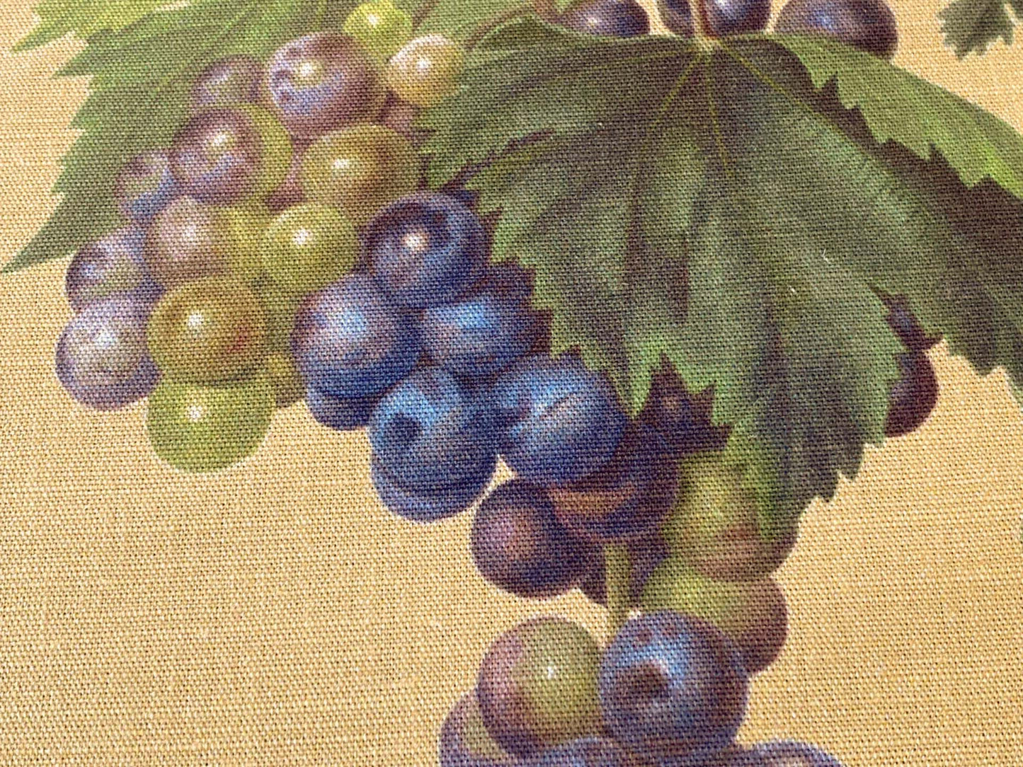 By Vertical Repeat 40 Inches Scalamandre Les Fruits Multi on Maize Grape Strawberry Cherry Plum Pear Blue MSRP USD 220/Y